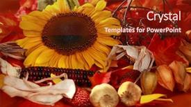  Presentation with thanksgiving - Cool new slides with still life or table decoration for thanksgiving backdrop and a tawny brown colored foreground