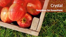  Presentation with still life crucifixion table - Colorful presentation theme enhanced with freshly picked red apple backdrop and a tawny brown colored foreground