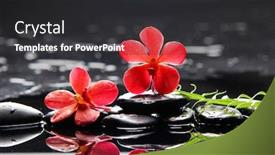  Presentation with fern - Slide deck with still-life-with-branch-red background and a dark gray colored foreground