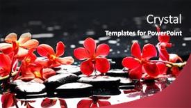  Presentation with pink black - Theme having still-life-with-branch-red background and a black colored foreground