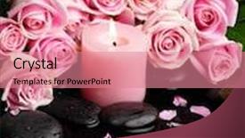  Presentation with green life - Cool new slide deck with still life with branch rose with green leaf and black stones backdrop and a coral colored foreground