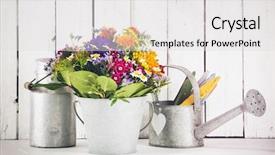  Presentation with grunge flower - Audience pleasing slide set consisting of still-life with flower bouquet in tin bucket watering can old milk canister grunge processing backdrop and a white colored foreground