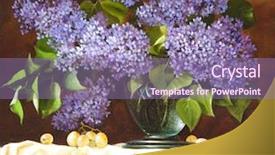  Presentation with apple flower - Audience pleasing PPT layouts consisting of still life with flowers lilac backdrop and a coral colored foreground