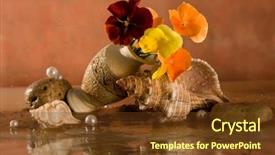  Presentation with pansy - Slides consisting of  background and a  colored foreground