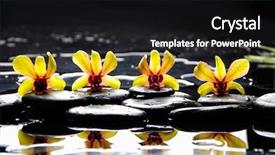  Presentation with orchid - Colorful PPT theme enhanced with still life with four yellow backdrop and a  colored foreground