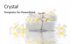  Presentation with frangipani flowers - Beautiful slide deck featuring still life with frangipani flowers backdrop and a white colored foreground