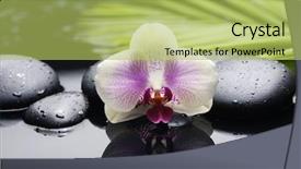  Presentation with detox green smoothies still life - Presentation theme featuring still life with gorgeous orchid background and a yellow colored foreground