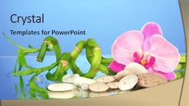  Presentation with green life - PPT layouts having green bamboo plant orchid background and a light blue colored foreground