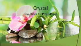  Presentation with green life - Amazing PPT theme having cute asian boy holding american short hair kitten with sunshine in the park backdrop and a gray colored foreground