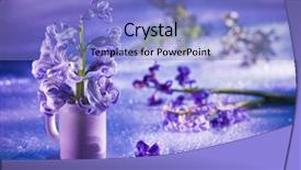  Presentation with gentle - Presentation design consisting of still life with hyacinth flower background and a light blue colored foreground