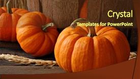  Presentation with autumn wood - Presentation theme consisting of still life with mini pumpkin background and a tawny brown colored foreground