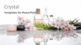  Presentation with green life - PPT theme with still life with pebble and with cherry blossom bottle oil green leaf reflection background and a white colored foreground