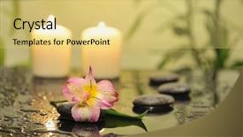  Presentation with bamboo - Slide deck featuring still life with pink orchid background and a yellow colored foreground