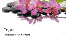  Presentation with purple orchids pink flowers orchid - Presentation design with still life with pink orchid background and a white colored foreground