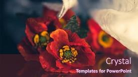  Presentation with remembrance day - Presentation having still-life-with-red-poppies background and a tawny brown colored foreground