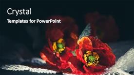  Presentation with remembrance day - Presentation theme having still-life-with-red-poppies background and a black colored foreground