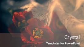  Presentation with remembrance day - PPT layouts with still-life-with-red-poppies background and a violet colored foreground