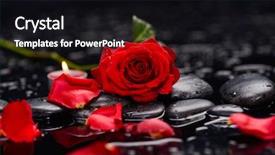  Presentation with candle - Audience pleasing PPT theme consisting of still life with red rose backdrop and a wine colored foreground
