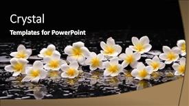 Presentation with zen - Beautiful presentation theme featuring still-life-with-row backdrop and a black colored foreground