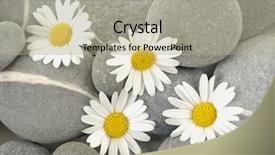  Presentation with healthy life style - Audience pleasing presentation theme consisting of still life with set backdrop and a mint green colored foreground