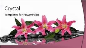  Presentation with detox green smoothies still life - Audience pleasing presentation design consisting of still life with three pink backdrop and a white colored foreground