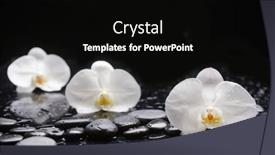  Presentation with zen stones - Colorful slides enhanced with still-life-with-three-white backdrop and a black colored foreground