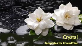  Presentation with detox green smoothies still life - Audience pleasing theme consisting of still life with two gardenia backdrop and a tawny brown colored foreground