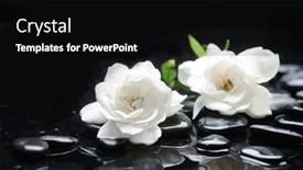  Presentation with zen stones - PPT layouts having still-life-with-two-white background and a black colored foreground