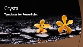  Presentation with zen - Audience pleasing PPT theme consisting of still-life-with-two-yellow backdrop and a black colored foreground
