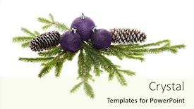 Presentation with year still life christmas - Colorful PPT theme enhanced with still-life-with-violet-sparkling backdrop and a soft green colored foreground