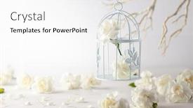  Presentation with celebration life - Presentation design with still-life-with-white-flowers background and a white colored foreground