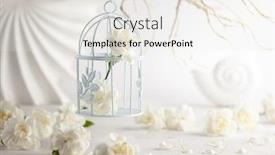  Presentation with birthday celebration mother - Amazing slide deck having still-life-with-white-flowers backdrop and a sky blue colored foreground