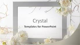  Presentation with celebration life - Amazing PPT theme having still-life-with-white-flowers backdrop and a white colored foreground