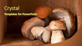  Presentation with life - Beautiful slide deck featuring still-life-with-white-forest backdrop and a tawny brown colored foreground