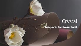  Presentation with magnolia - Presentation theme having still-life-with-white-magnolia background and a tawny brown colored foreground