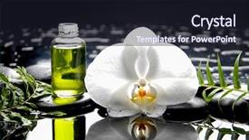  Presentation with fern - Audience pleasing presentation theme consisting of still life with white orchid massage oil fern and zen stones backdrop and a wine colored foreground