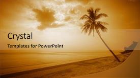  Presentation with palm oil seeds of tree - Cool new presentation design with still waters - alone palm tree on sand backdrop and a coral colored foreground