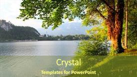  Presentation with green tree - Colorful slide set enhanced with still waters - green lush tree backdrop and a tawny brown colored foreground