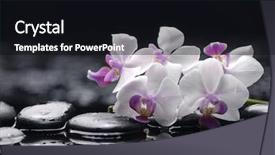  Presentation with spa concept - PPT theme enhanced with still waters - spa concept branch white orchid background and a wine colored foreground