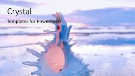  Presentation with shell - PPT layouts with stillness storm - landscape shell sunset background and a  colored foreground