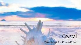  Presentation with seashell - Presentation enhanced with stillness storm - sand seashell horizon background and a light blue colored foreground
