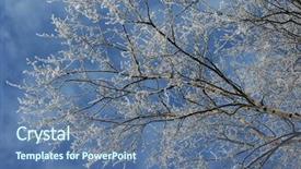  Presentation with winter road and branch - Presentation with stillness storm - winter birch branch background and a ocean colored foreground