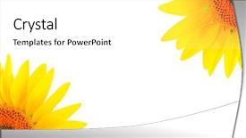  Presentation with page - Beautiful presentation theme featuring blank white page decorated backdrop and a white colored foreground