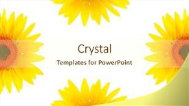  Presentation with page - Colorful theme enhanced with blank white page decorated backdrop and a cream colored foreground