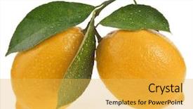  Presentation with ripe golden potato on white - Theme consisting of stips - two ripe lemon isolated background and a yellow colored foreground