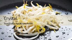  Presentation with sprout - Cool new theme with stir fry bean sprout backdrop and a lemonade colored foreground