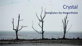  Presentation with kidney damage - Slide deck consisting of stock image of the enviromental background and a sky blue colored foreground