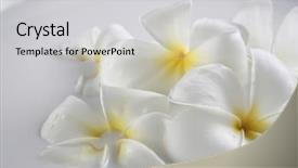  Presentation with spa concept - Theme featuring stock image of the spa concept background and a light gray colored foreground