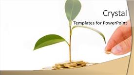  Presentation with isolated paw prints over white - Beautiful slide set featuring stock market green - coins and plant isolated backdrop and a white colored foreground