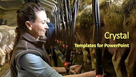  Presentation with purple morning fall - Slide set featuring  background and a  colored foreground